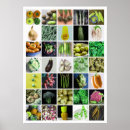 Search for photo grid posters Collage