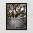 Search for overcast postcards Autumn