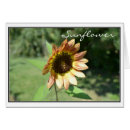 Search for september Floral