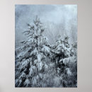 Search for snow covered trees posters Black and white