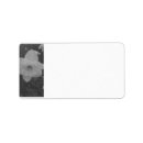 Search for daffodils return address labels White