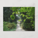 Search for trees photography Path