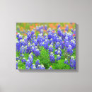 Search for bluebonnet art Flowers