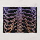 Search for bones stamps posters Human body part