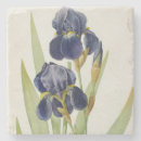 Search for iris coasters Illustration