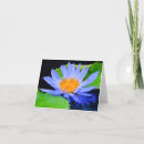 Search for blue water lily cards Lilies