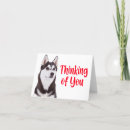 Search for husky cards Puppy