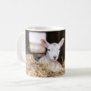 Search for baby lamb mugs Sheep