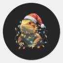 Search for cute bearded dragon stickers Cartoon