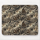 Search for no snakes electronics Fashionable