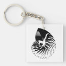 Search for nautilus key rings White