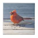 Search for cardinal tiles Home