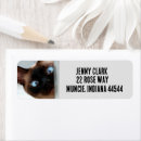 Search for siamese cat return address labels Blue eyes cat