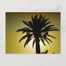 Search for plage postcards Soleil