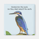 Search for kingfish magnets Animal