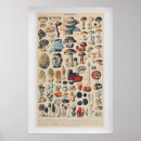 Search for champignons posters Botanical