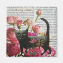 Search for asleep magnets Black cat