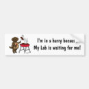 Search for chocolate labrador stuff bumper stickers Retriever