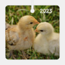 Search for chickens christmas tree decorations Hen