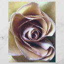 Search for botanicals flyers Roses