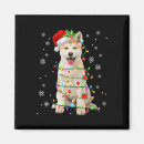 Search for akitas magnets Ya filthy animal