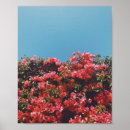 Search for bougainvillea art Photography