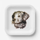 Search for puppy plates Dog