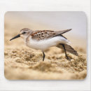 Search for piper mousepads Bird