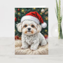 Search for maltese christmas cards Watercolor