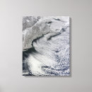 Search for blizzard canvas prints White