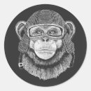 Search for motorcycle rider stickers Pilot