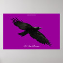 Search for raven art Corvids