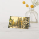 Search for pine place cards Rustic