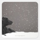 Search for contemplating stickers Full length