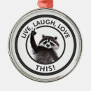 Search for racoons christmas tree decorations Meme