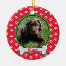 Search for new puppy christmas tree decorations Pets