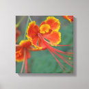 Search for for teen girls canvas prints Teens