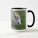 Search for pembroke welsh corgi mugs Animals