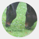 Search for togetherness stickers Animal