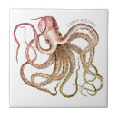 Search for tentacle Nautical