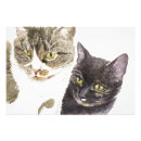 Search for torti art Feline