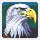 Search for bird of prey stickers Head