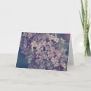 Search for lilac flowers cards Thinking of you