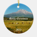 Search for mustang christmas tree decorations Wild horse
