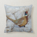 Search for pheasant cushions Ring necked pheasant
