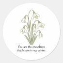 Search for snowdrop stickers Botanical