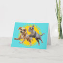 Search for pedro cards Pets to the rescue