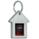 Search for dancing pet supplies Abstract