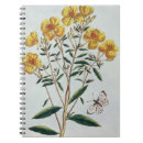 Search for 73 notebooks Century