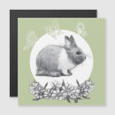 Search for fluffy white magnets Drawing